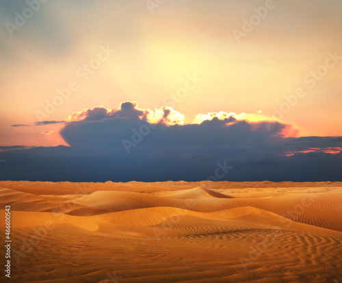 Beautiful view of sandy desert at sunset
