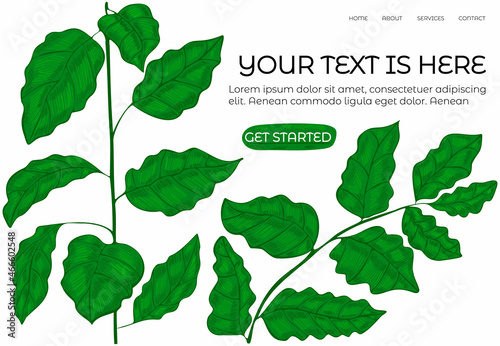 Vector layout, landing page template, homepage with hand drawn eggplant leaves and buttons. The concept of gardening, harvest, farming, shop for plant care. It can be used in website design.