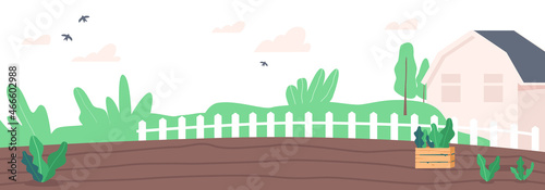 Tilled Farm Garden with Wooden Box with Green Sprouts and Barn, Land Preparation for Growing Plants at Springtime Season