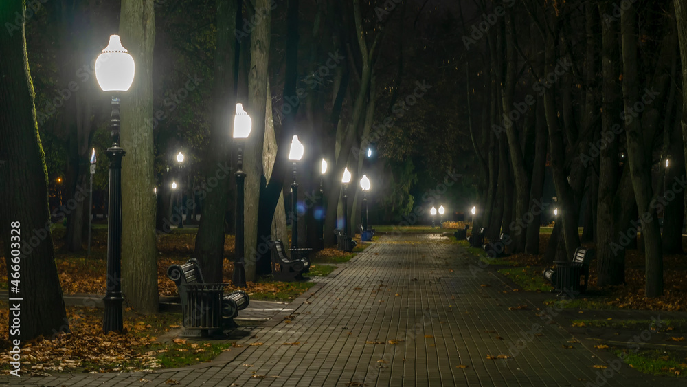 Night autumn park with fallen yellow leaves on the pavement and benches in the golden autumn season