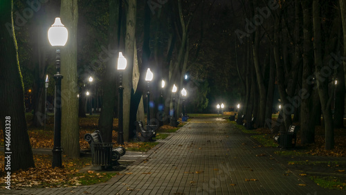 Night autumn park with fallen yellow leaves on the pavement and benches in the golden autumn season