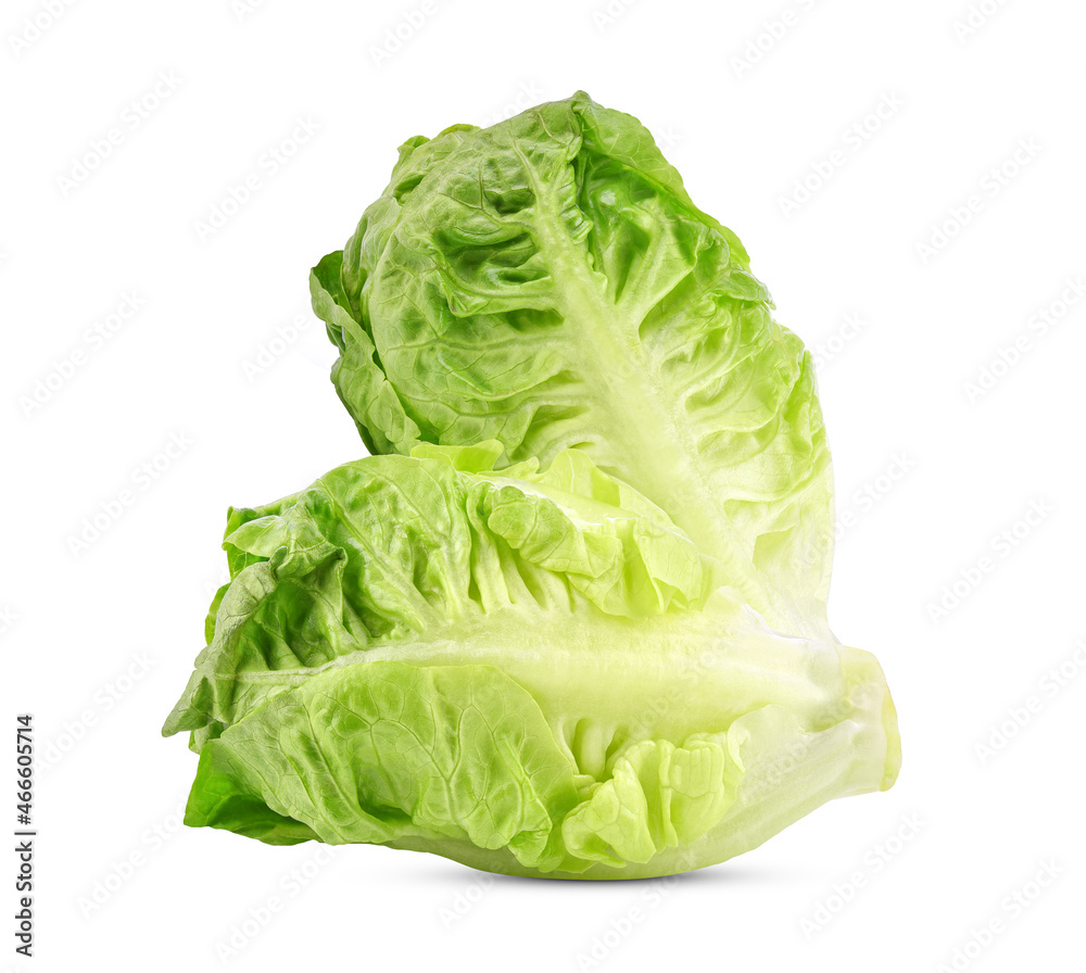 Fresh green cos lettuce isolated on white background. Fresh green cos lettuce isolated on white background.