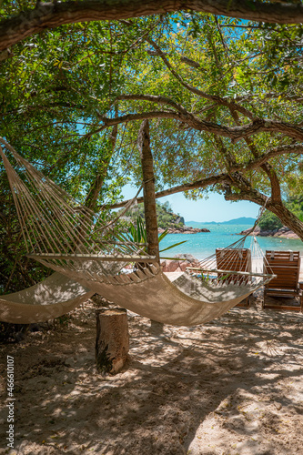 hammock on the beach