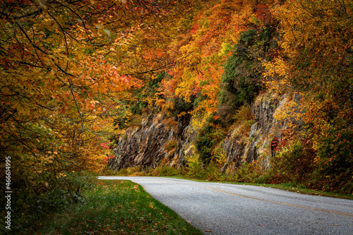 Spectacular fall color borders the parkway in the Blue Ridge Mountains