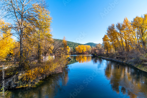 View of the Wenatchee River at autumn with fall colors on the leaves from Blackbird Island at Leavenworth, Washington, USA. © Kirk Fisher