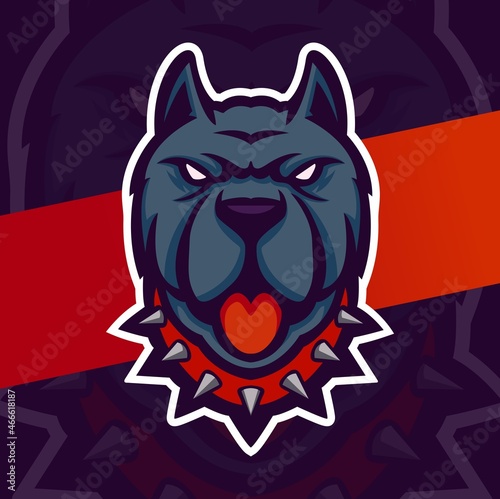 pitbull dog head mascot logo designs character for sport and pet logo
