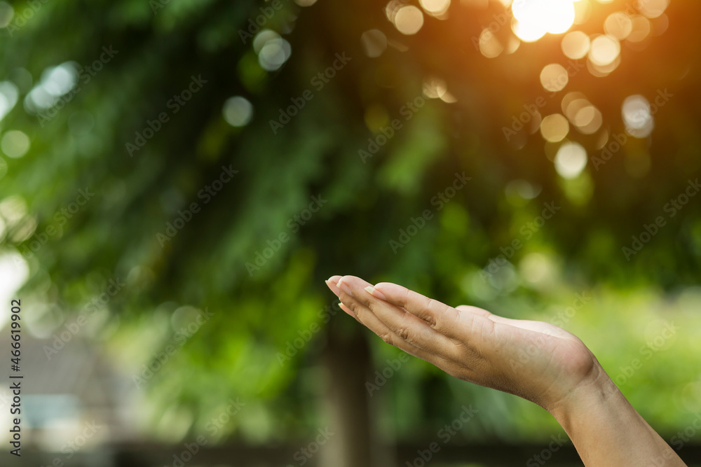 Technology, Hands holding globe of tropical nature summer background, Technology, Hands holding globe of tropical nature summer background,