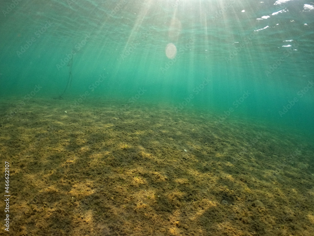 Underwater world of Mediterranean Sea. Near Marmaris, Turkey Underwater world of Mediterranean Sea. Near Marmaris, Turkey