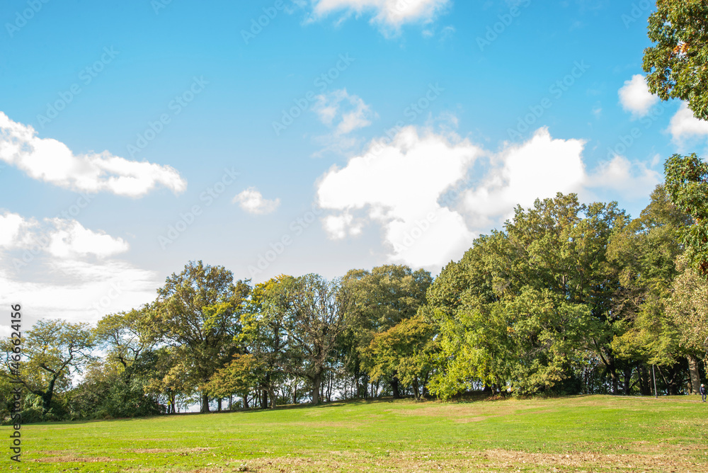 landscape with trees and blue sky landscape with trees and blue sky