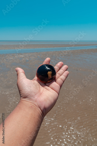 Large Sea Shells Are Commonly Found On The Shoreline Of East Kalimantan, Indonesia