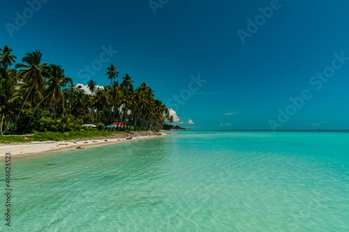 Beach With Rows Of Coconut And White Sand That Spoil The Eyes Of Tourists
