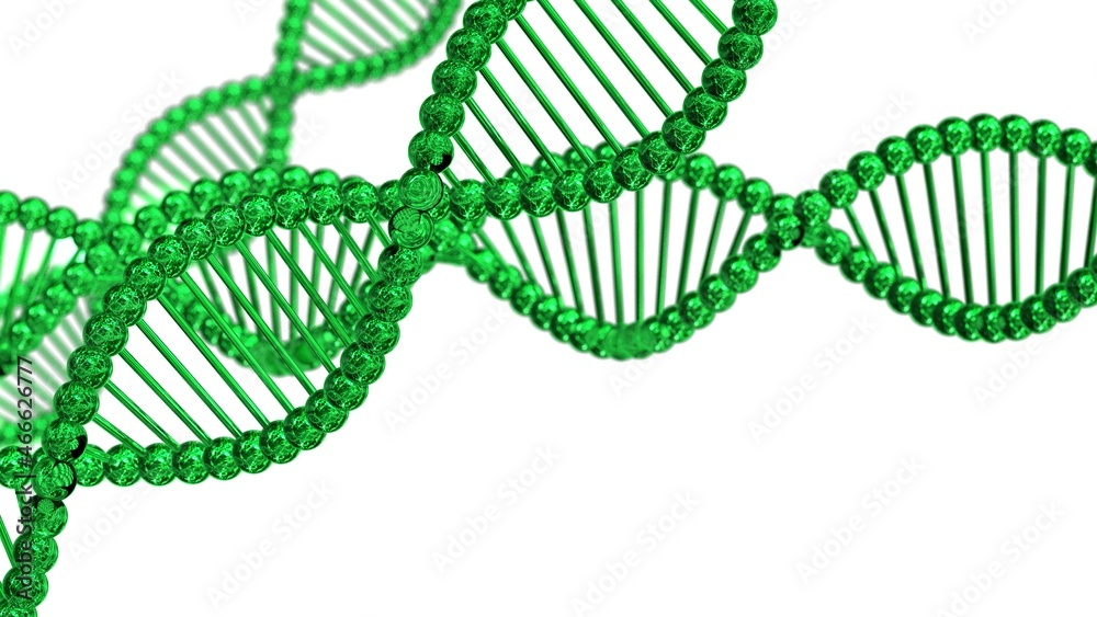 Science Molecular Glass DNA Model Structure under green flash light and white background. 3D illustration. 3D CG. 3D high quality rendering.