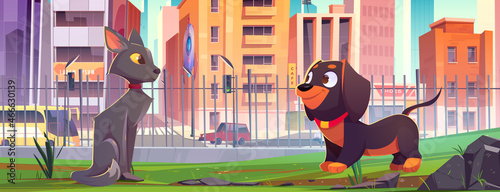 Pets walk in city park. Cute cat and dog meet together on green lawn. Vector cartoon illustration of adorable home animals on backyard with green grass and fence and town street with houses and cars