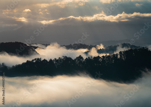 657-87 Foothills Fog at Sunrise © Hank Erdmann