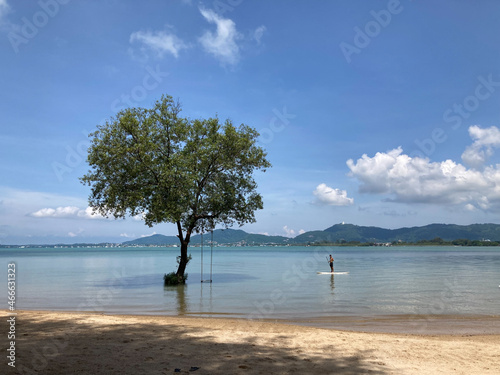 a man is playing a paddleboard on the sea with a big green mangrove tree which has a swing and beautiful city, mountain, and super bright sky in the background © Hathairat