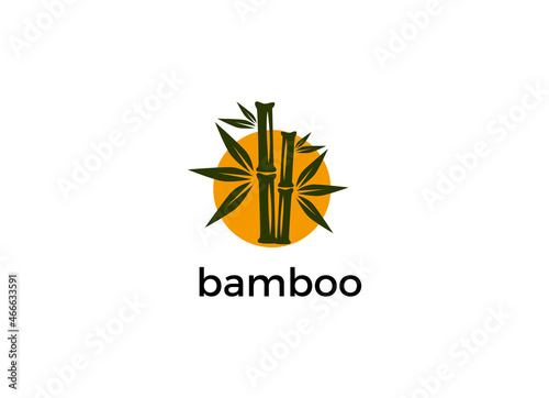 Vector logo, label or emblem with watercolor hand drawn green bamboo plant. Concept for spa and beauty salon, asian massage, cosmetics package, furniture materials.