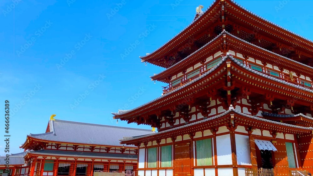 桜花の季節の奈良　薬師寺　金堂と大講堂