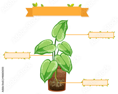 Write parts of a plant worksheet for kids