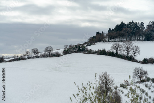 snow covered trees © Umberto