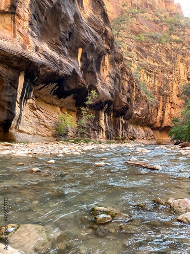 The Narrows Zion National Park 2021