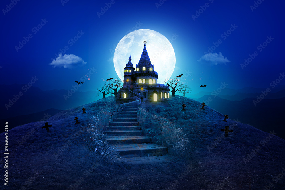 Obraz premium castle in the night , halloween concept