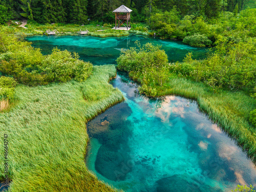 Zelenci Springs in Slovenia Julian Alps near Kranjska Gora