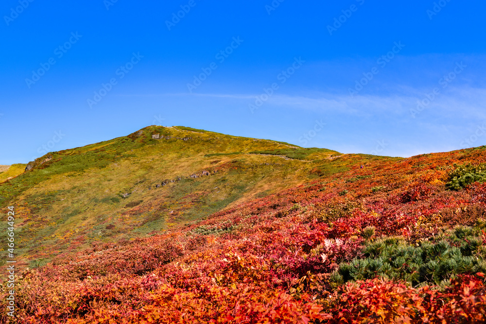 日本　栗駒山全山紅葉神の絨毯