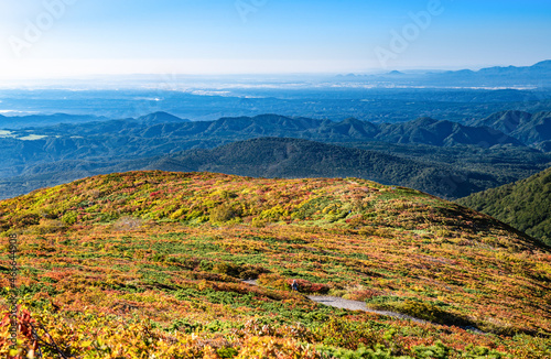 日本 栗駒山全山紅葉神の絨毯