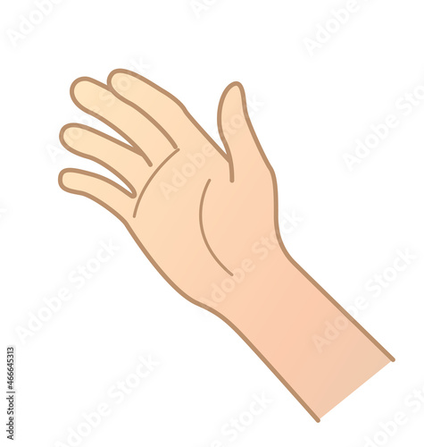 simple open human hand