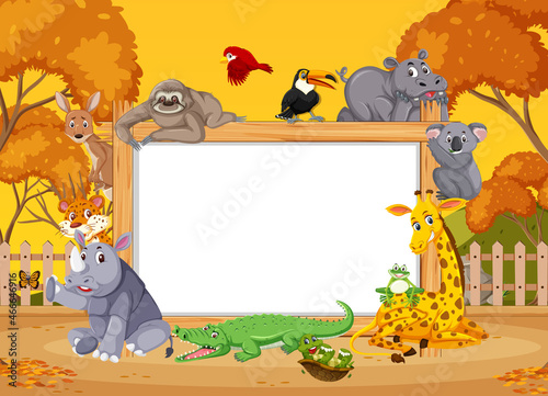 Empty wooden frame with various wild animals in the forest