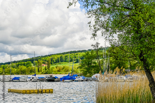 Mosen, Aesch, Hitzkirch, Hallwilersee, Seeufer, Uferweg, Wasserpflanzen, Naturschutz, Schilf, Boote, Schiffssteg, Wassersport, Seerundfahrt, Sommer, Luzern, Schweiz photo