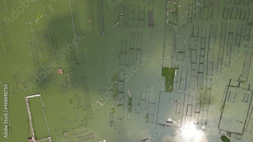 Wide aerial view of traditional floating fish pond on swamp in Indonesia photo