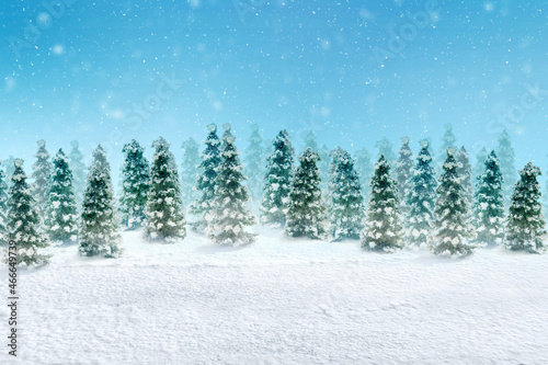 Snowy fir trees