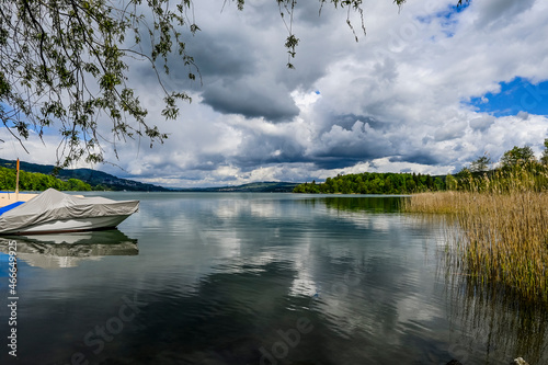 Mosen, Aesch, Hitzkirch, Hallwilersee, Seeufer, Uferweg, Wasserpflanzen, Naturschutz, Schilf, Boote, Schiffssteg, Wassersport, Seerundfahrt, Sommer, Luzern, Schweiz photo