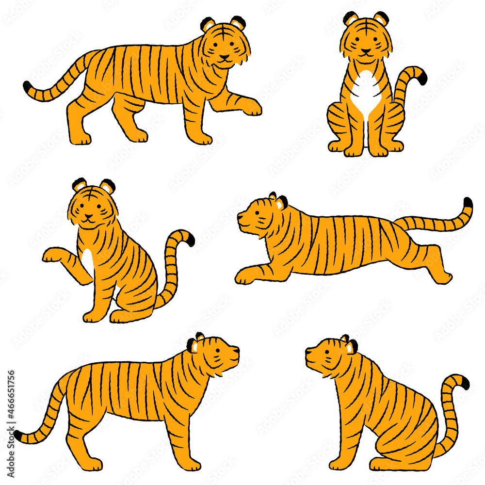 虎の手描き風ポーズイラストセット 立つ 座る 走る Stock Vector Adobe Stock