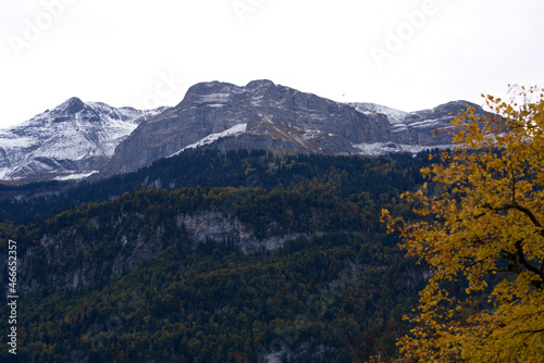 Lake Brienz with panorama mountain view on a cloudy autumn day with autumn trees. Photo taken October 19th, 2021, Brienz, Switzerland.