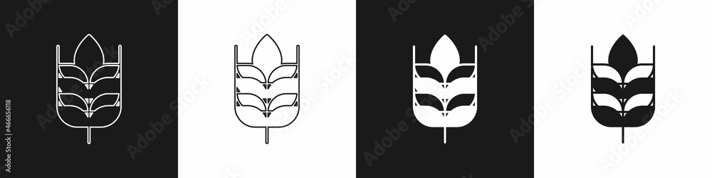 Fototapeta premium Set Cereals set with rice, wheat, corn, oats, rye, barley icon isolated on black and white background. Ears of wheat bread symbols. Vector