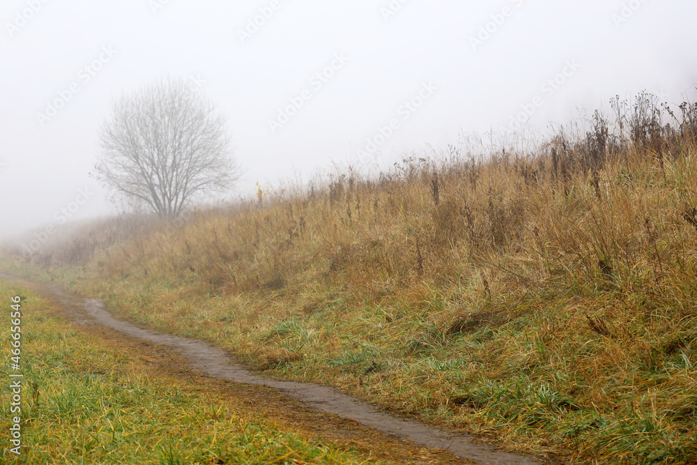 Heavy fog on autumn meadow, defocused view to path in grass and lonely tree. Morning at fall season Heavy fog on autumn meadow, defocused view to path in grass and lonely tree. Morning at fall season