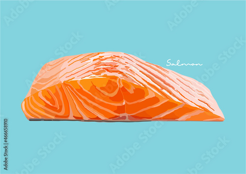 Vector Illustration of Delicious Salmon, Raw Salmon, Salmon Fish