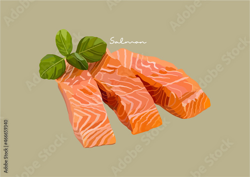 Vector Illustration of Delicious Salmon, Raw Salmon, Salmon Fish