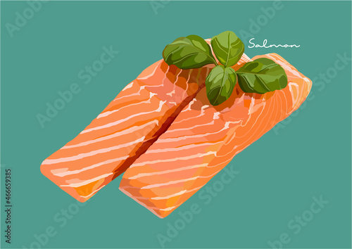 Vector Illustration of Delicious Salmon, Raw Salmon, Salmon Fish