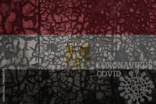 flag of egypt on a old metal rusty cracked wall with text coronavirus, covid, and virus picture.