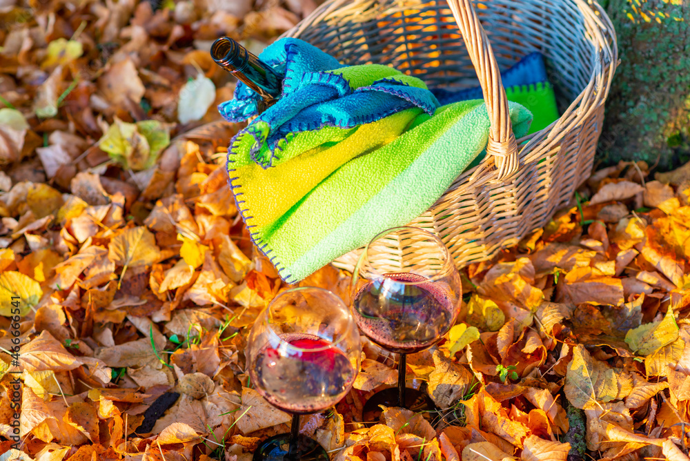 Fototapeta premium A cozy orange autumn picnic in the park, a warm autumn evening.Basket with a blanket, wine and glasses on golden orange autumn leaves.