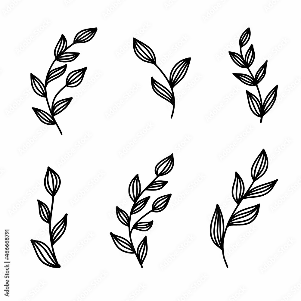 Vector drawing of twigs with leaves Vector drawing of twigs with leaves