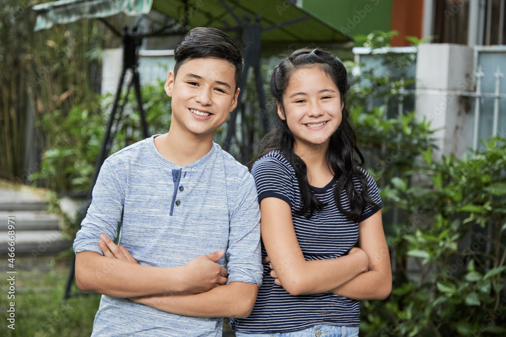 Ταπετσαρία Portrait of happy smiling twin brother and sister standing with arms crossed and