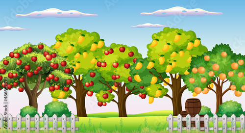 Farm scene with many different fruits trees