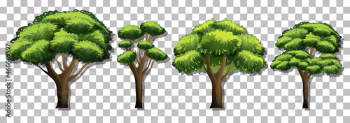 Set of various trees on transparent background