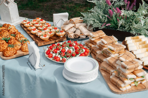 Catering in the outdoor summer park