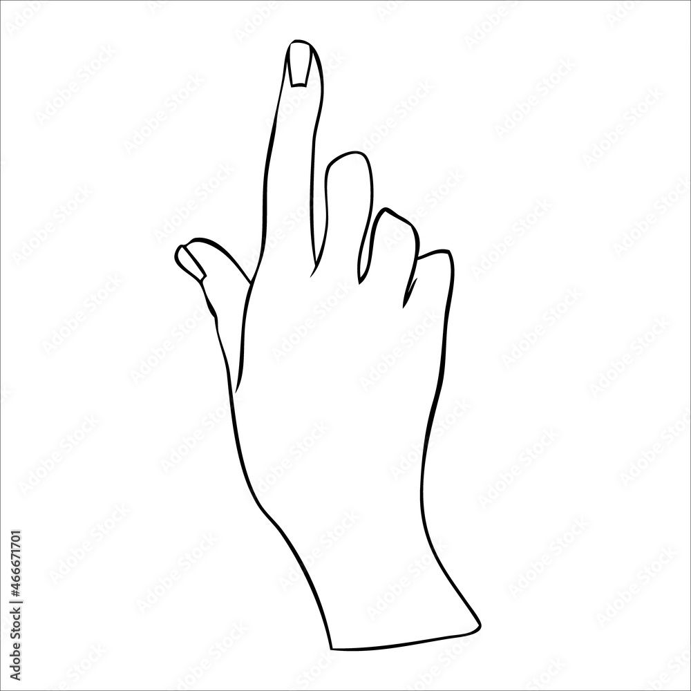 Linear silhouette of an elegant female or witch hand. Linear silhouette of an elegant female or witch hand.