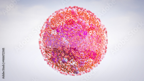 human cell components of an eukaryotic cell, nucleus and organelles and plasma membrane Golgi, mitochondria,   smooth ER, rough ER, lysosome, endosome,  3d rendering photo